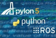 интерфейс pypylon интерфейс pypylon